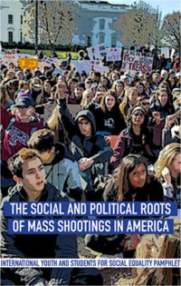 The Social and Political Roots of Mass Shootings in America